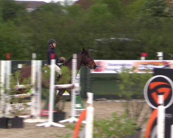 Reitturnier Langwedel - Hagen - Grinden 2019