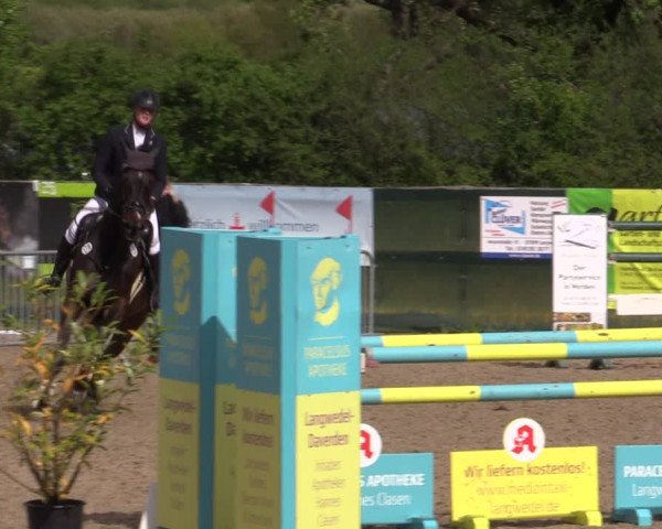 Reitturnier Langwedel - Hagen - Grinden 2019