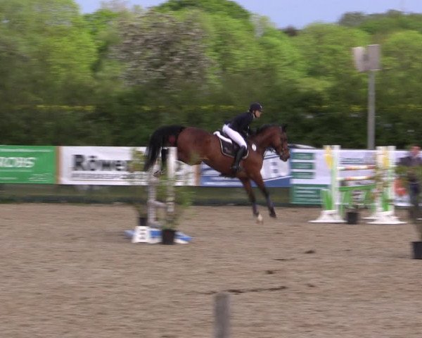 Reitturnier Langwedel - Hagen - Grinden 2019