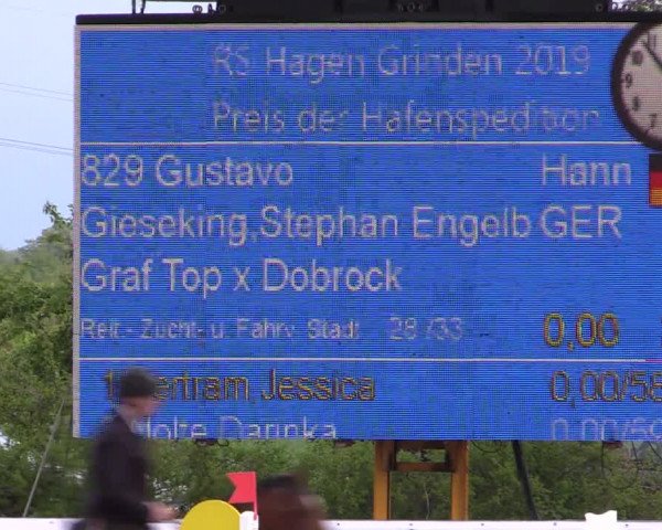 Reitturnier Langwedel - Hagen - Grinden 2019