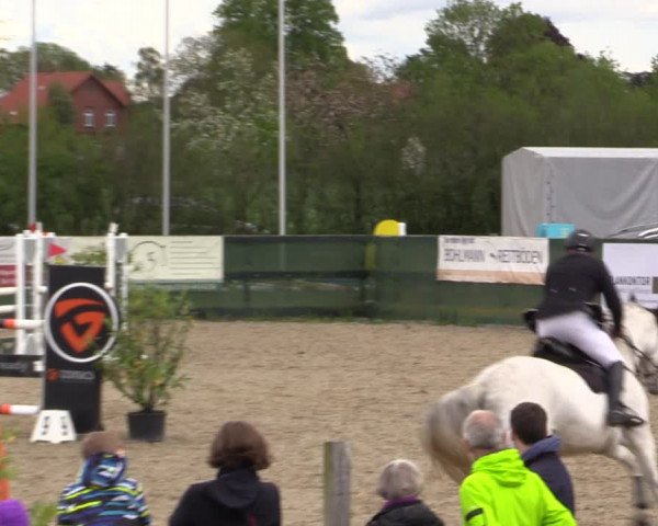 Reitturnier Langwedel - Hagen - Grinden 2019