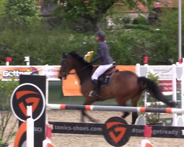 Reitturnier Langwedel - Hagen - Grinden 2019