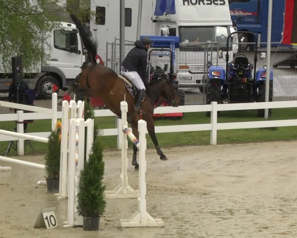 Reitturnier Leutkirch-Diepoldshofen 2019