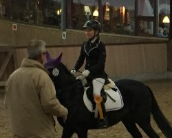 jumper Motte (German Riding Pony, 2002, from Mentos)