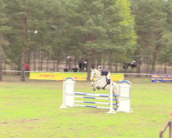 Reitturnier Altbarnim 2019