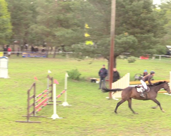 Reitturnier Altbarnim 2019