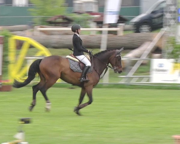 Reitturnier Greppin 2019