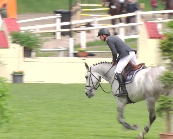 Reitturnier Greppin 2019
