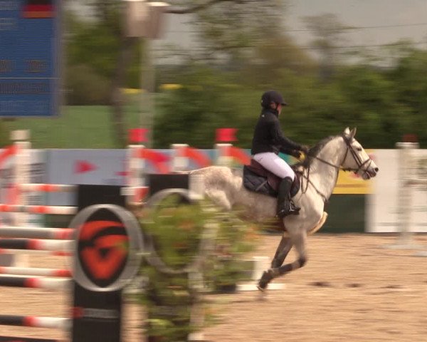 Reitturnier Langwedel - Hagen - Grinden 2019