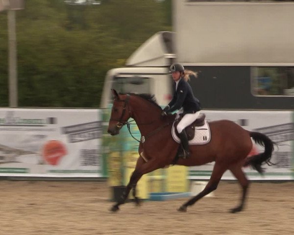 Reitturnier Langwedel - Hagen - Grinden 2019