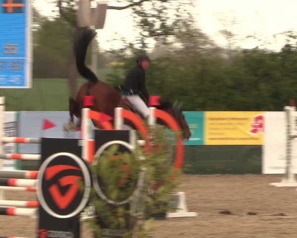 Reitturnier Langwedel - Hagen - Grinden 2019