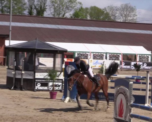 Reitturnier Havixbeck 2019