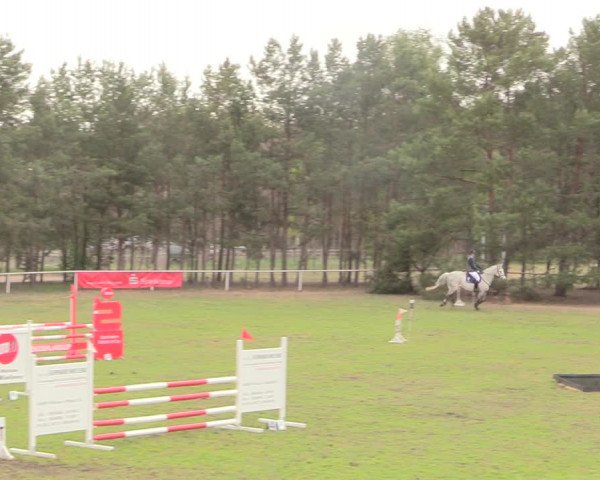 Reitturnier Altbarnim 2019