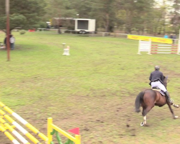 Reitturnier Altbarnim 2019