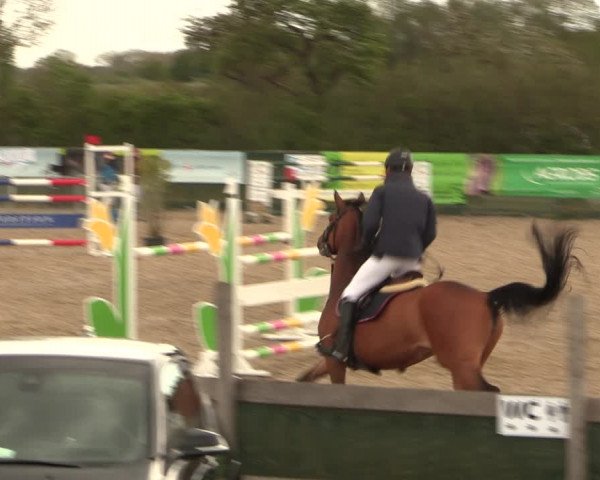 Reitturnier Langwedel - Hagen - Grinden 2019
