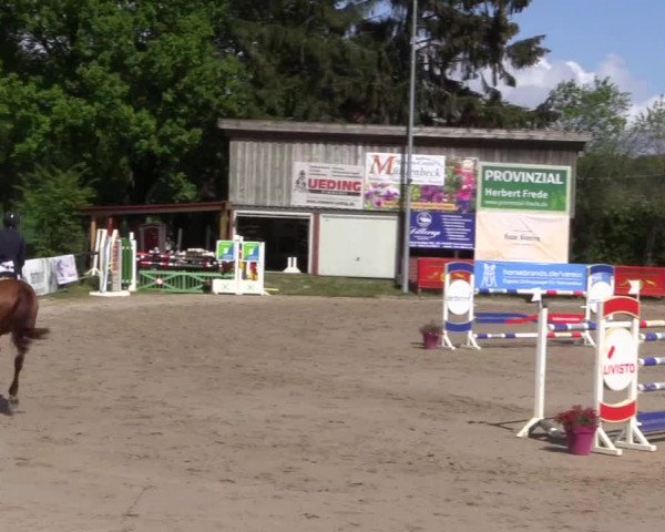 Reitturnier Havixbeck 2019
