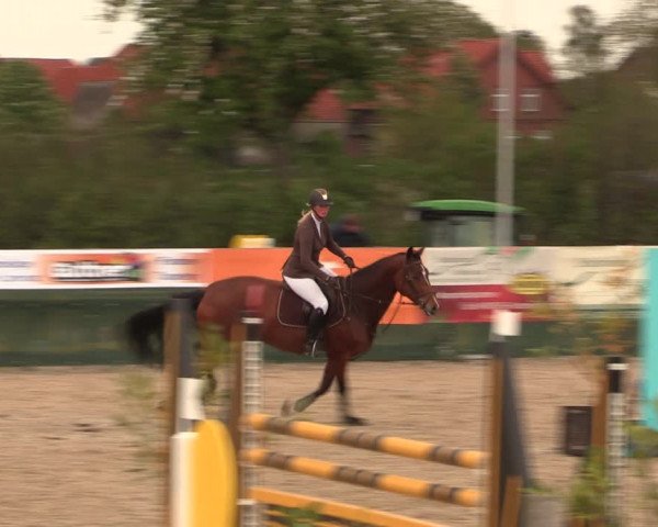Reitturnier Langwedel - Hagen - Grinden 2019
