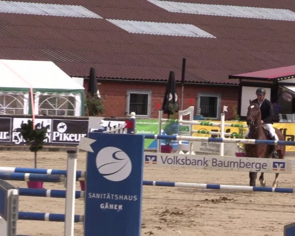 Reitturnier Havixbeck 2019