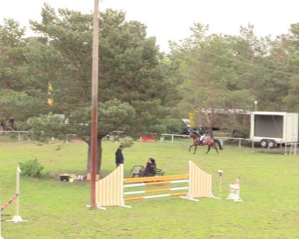Reitturnier Altbarnim 2019