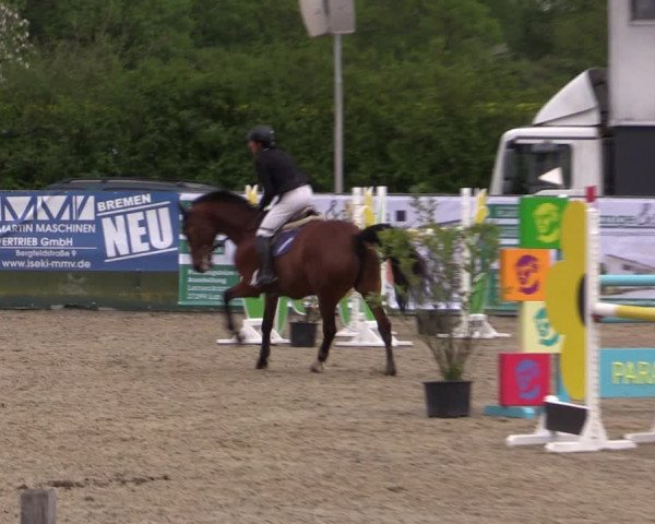 Reitturnier Langwedel - Hagen - Grinden 2019