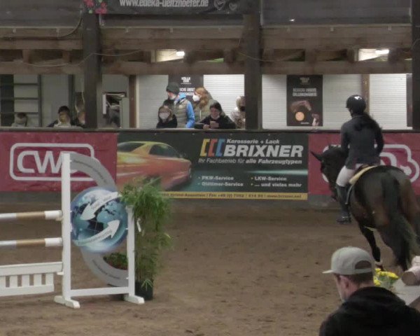 Reitturnier Heilbronn 2021