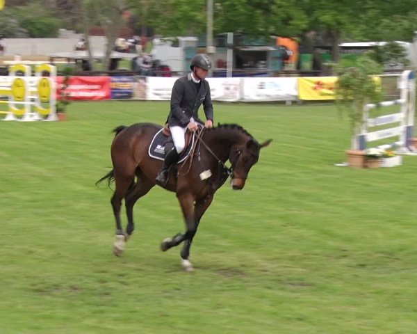 Reitturnier Greppin 2019