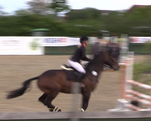 Reitturnier Langwedel - Hagen - Grinden 2019