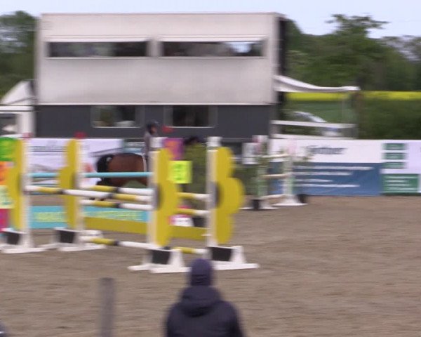 Reitturnier Langwedel - Hagen - Grinden 2019
