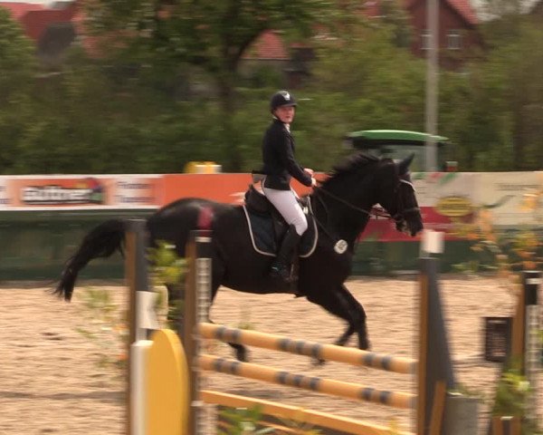 Reitturnier Langwedel - Hagen - Grinden 2019