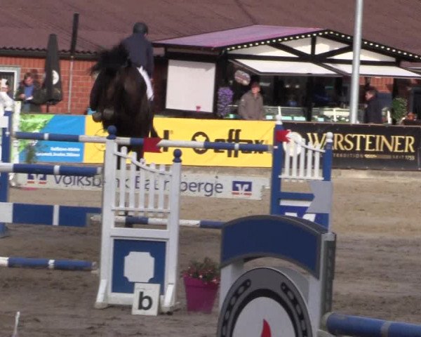 Reitturnier Havixbeck 2019