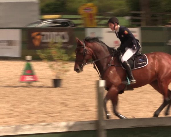 Reitturnier Langwedel - Hagen - Grinden 2019