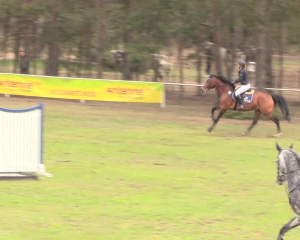 Reitturnier Altbarnim 2019
