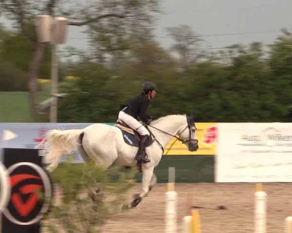 Reitturnier Langwedel - Hagen - Grinden 2019