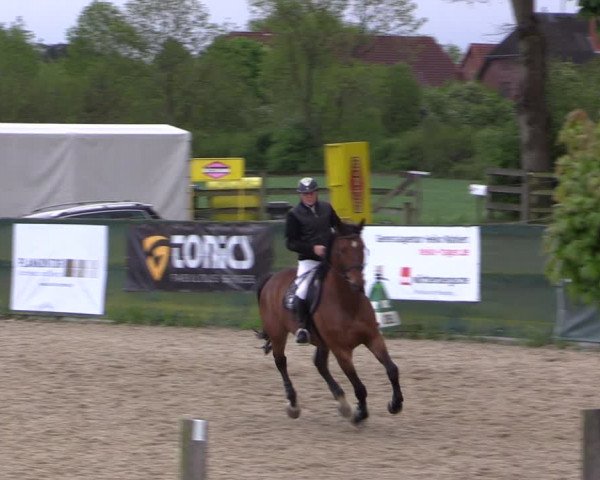 Reitturnier Langwedel - Hagen - Grinden 2019
