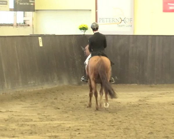 Reitturnier St. Peter Ording 2021