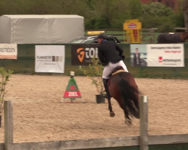 Reitturnier Langwedel - Hagen - Grinden 2019