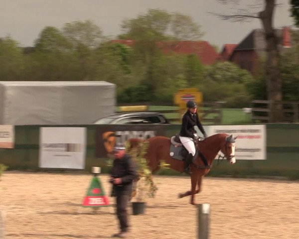 Reitturnier Langwedel - Hagen - Grinden 2019