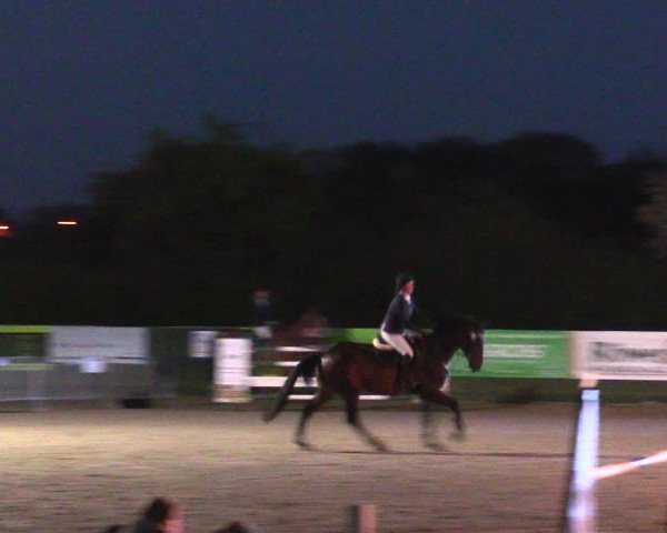 Reitturnier Langwedel - Hagen - Grinden 2019