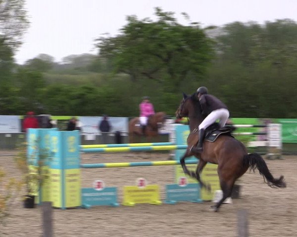 Reitturnier Langwedel - Hagen - Grinden 2019