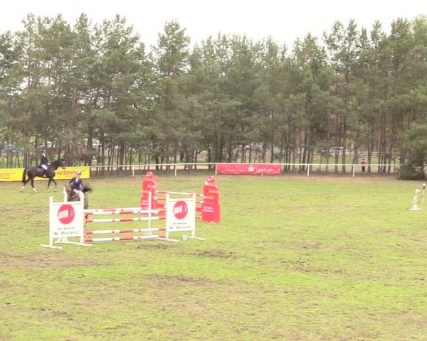 Reitturnier Altbarnim 2019