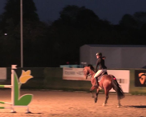 Reitturnier Langwedel - Hagen - Grinden 2019