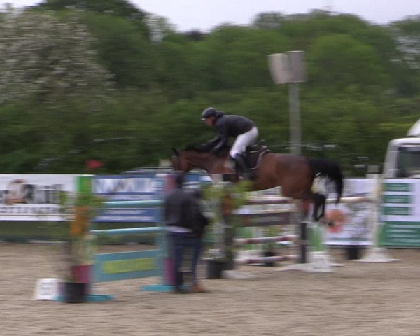 Reitturnier Langwedel - Hagen - Grinden 2019