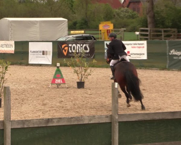 Reitturnier Langwedel - Hagen - Grinden 2019