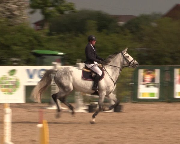 Reitturnier Langwedel - Hagen - Grinden 2019