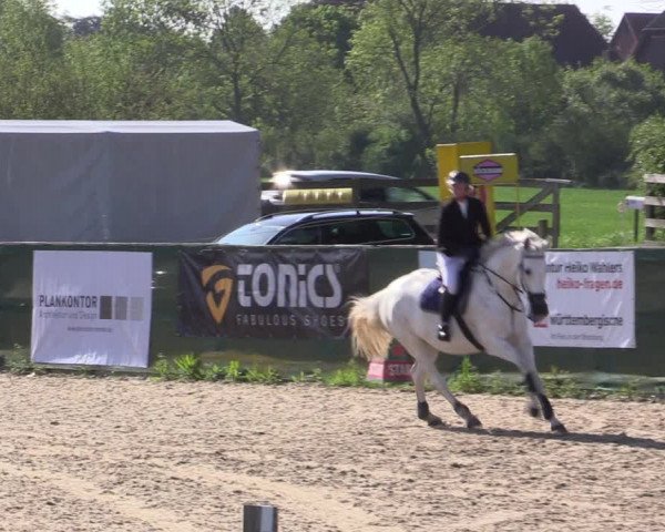 Reitturnier Langwedel - Hagen - Grinden 2019