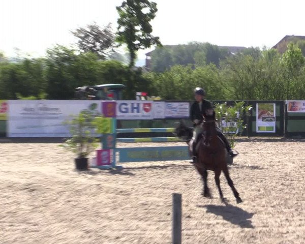 Reitturnier Langwedel - Hagen - Grinden 2019