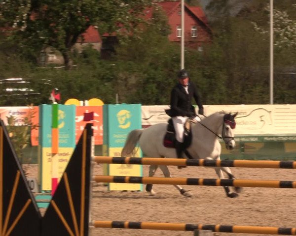 Reitturnier Langwedel - Hagen - Grinden 2019