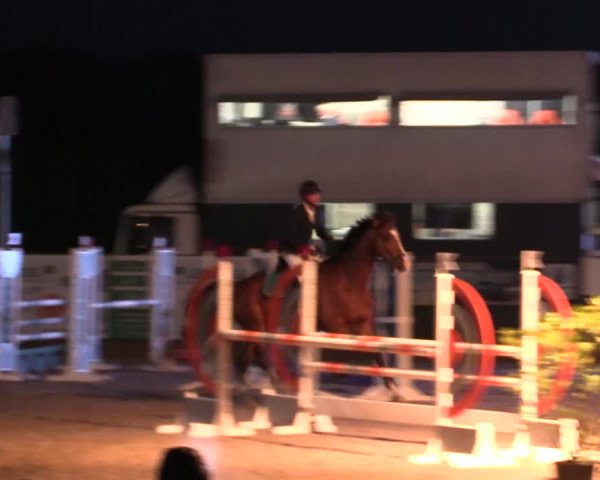 Reitturnier Langwedel - Hagen - Grinden 2019