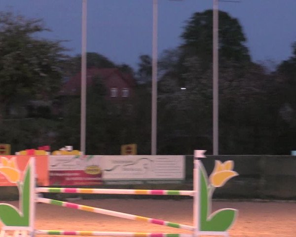 Reitturnier Langwedel - Hagen - Grinden 2019
