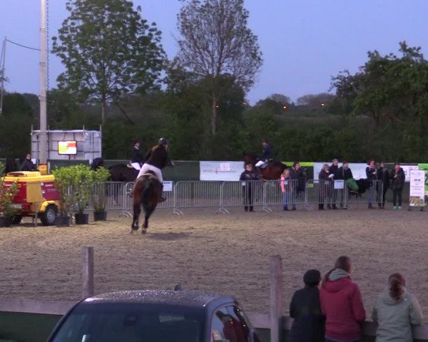 Reitturnier Langwedel - Hagen - Grinden 2019